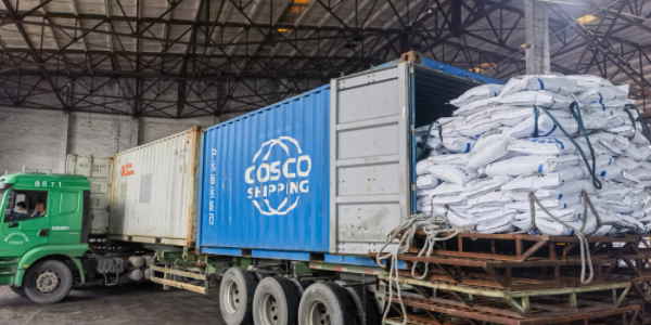 ?有机肥料可以走集装箱海运吗，需要注重什么？？？