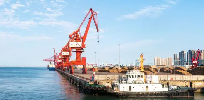 九游会·J9 - 中国官方网站 | 真人游戏第一品牌