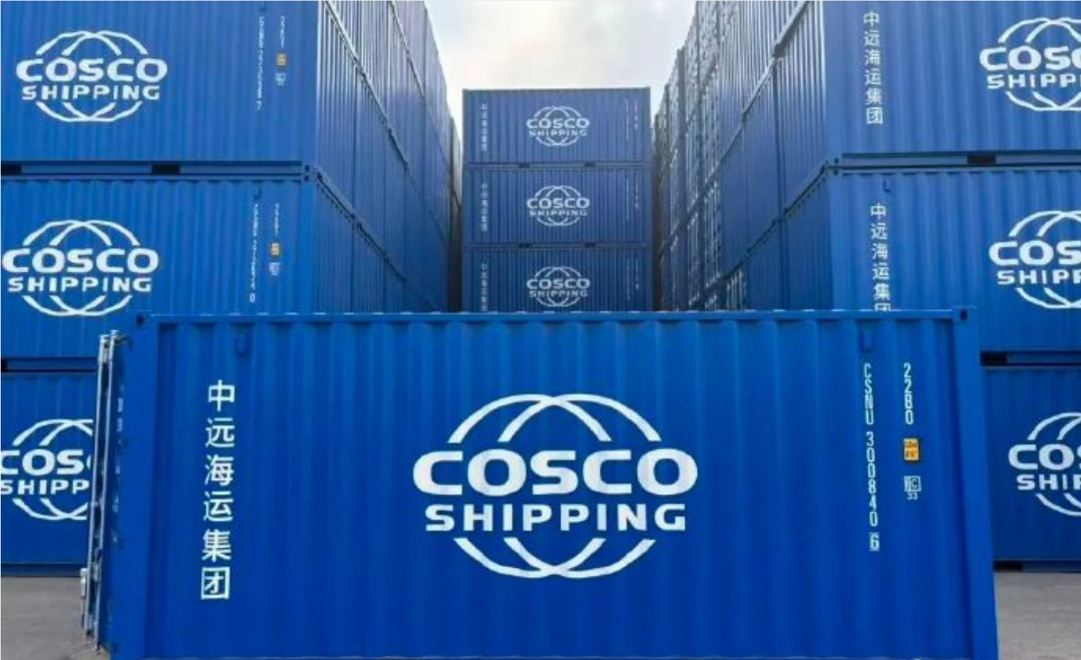 九游会·J9 - 中国官方网站 | 真人游戏第一品牌