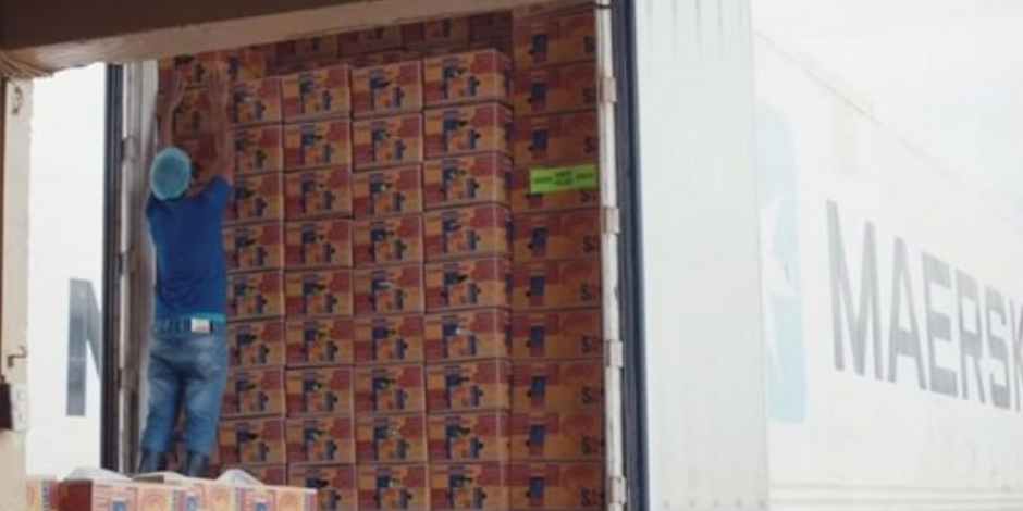 九游会·J9 - 中国官方网站 | 真人游戏第一品牌